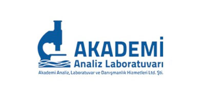 Akademi Analiz